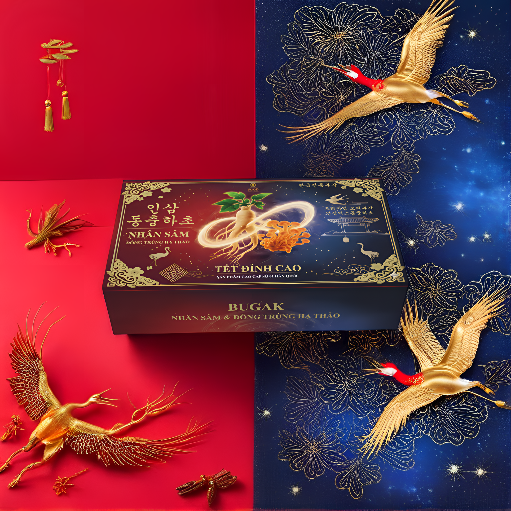 Untitled image-Pacdora (2)